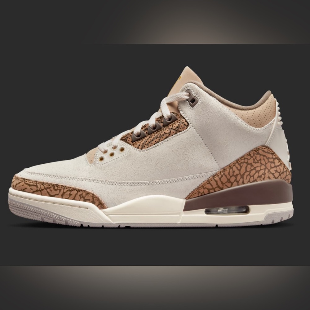 Air Jordan 3 - Orewood Brown